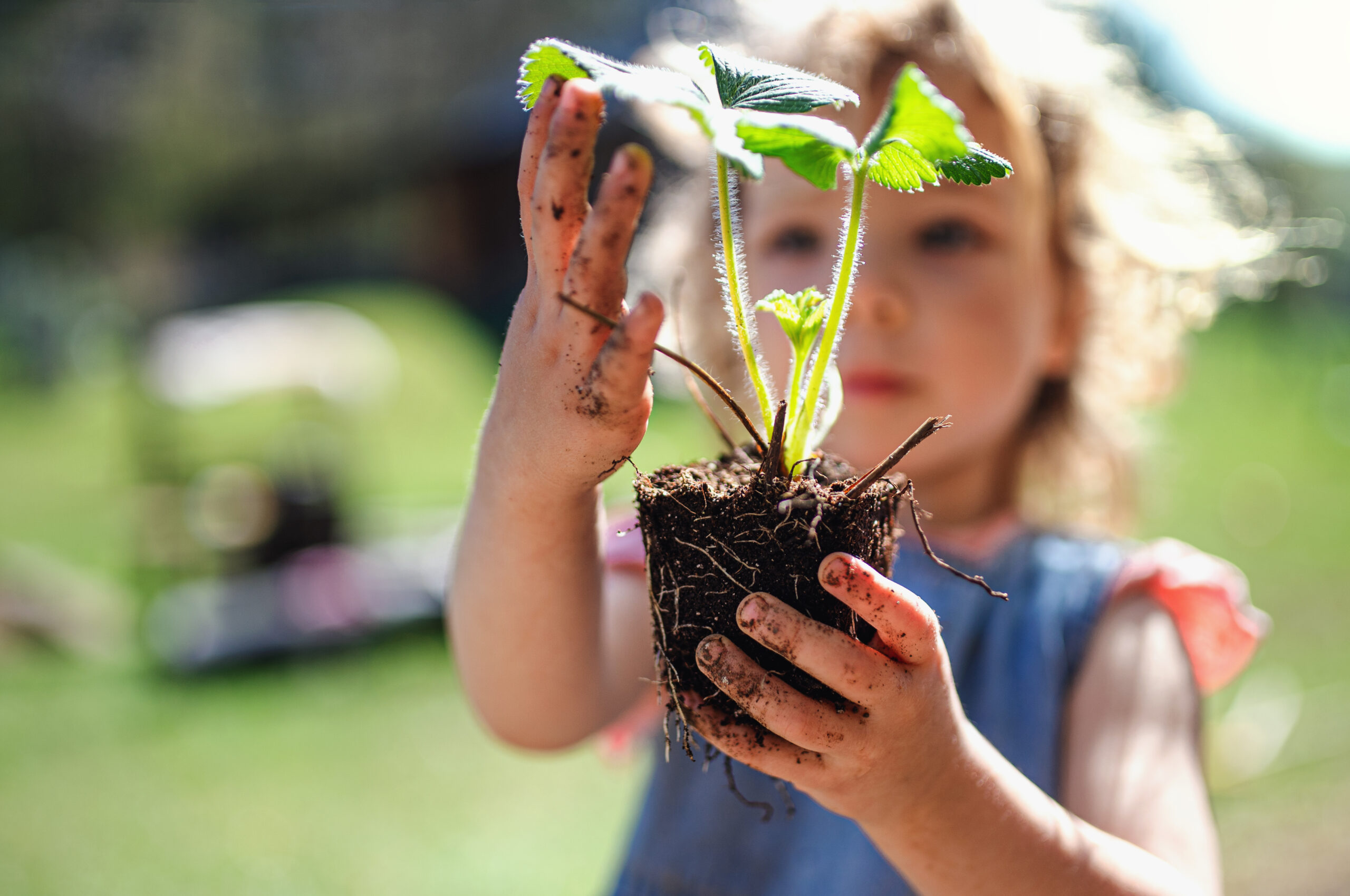Spring Soil Reboot: The 2026 Guide to Healthy Soil - Natura Grow